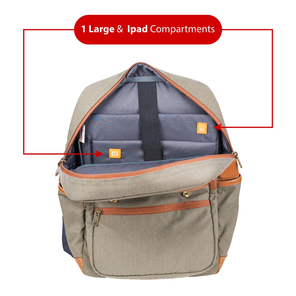 0470_1419_image-1200x1200_3_191102175935