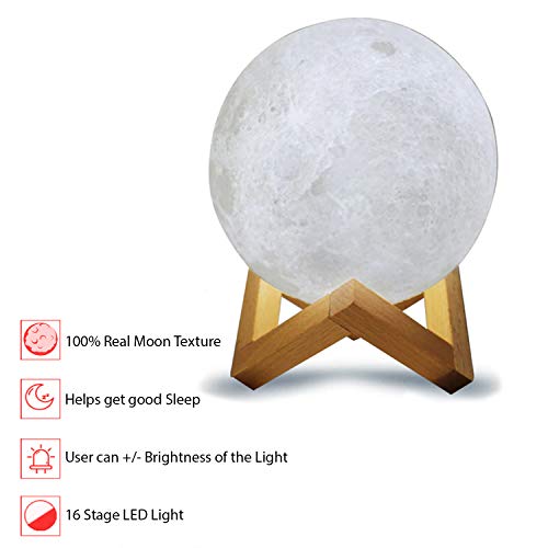 0733_1879_image-1200x1200_3_210505163456